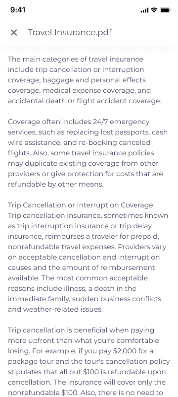 TravelKey high fidelity design: document reader